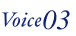 Voice3