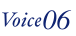 Voice6