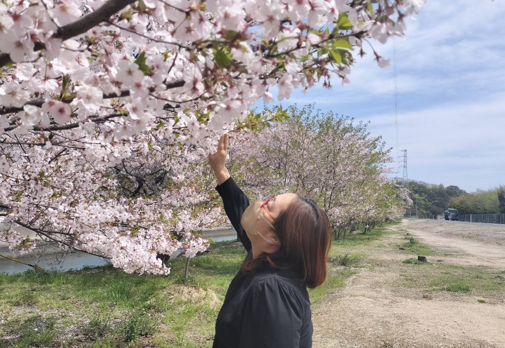 潜在意識コーチ養成・受講生の声（40代女性ヒーリング講師）月収30～40万円が安定し、初めて月100万円を達成！桜に触れて春を楽しむ姿